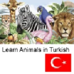 learn animals in turkish android application logo